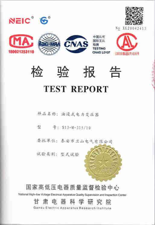 ͽʽѹS13-M-315ʵ鱨